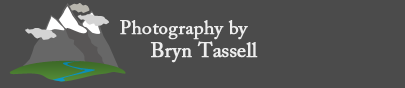 Bryn Tassell