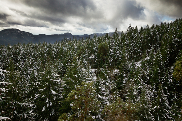 springsnow_web.jpg