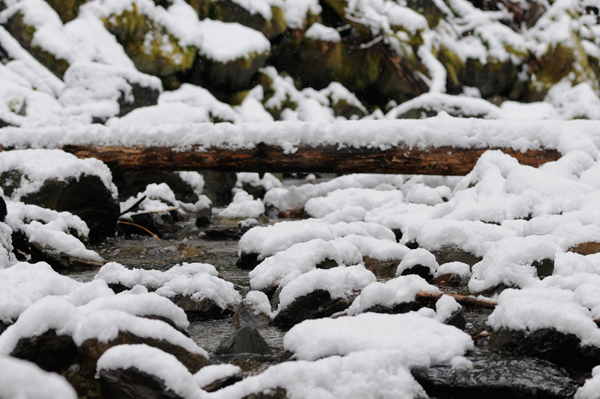 _dsc0182snowycreek_web