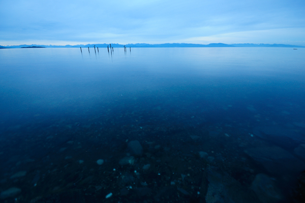 _dsc2571clearwaterpoles_web