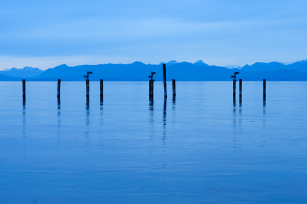 _dsc2573bluepoles_web