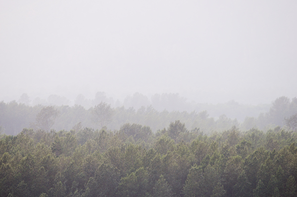 _dsc3182smokehaze_web