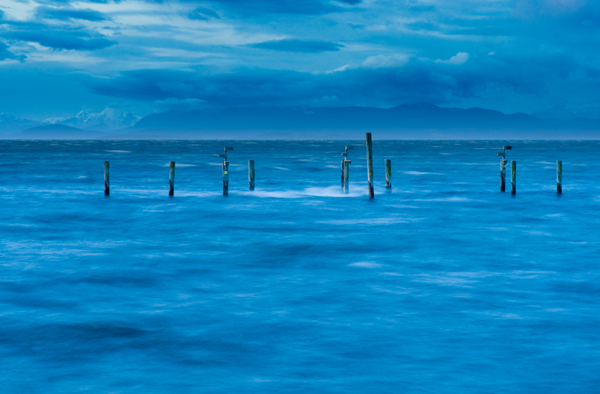 _dsc9652bluepoles_web
