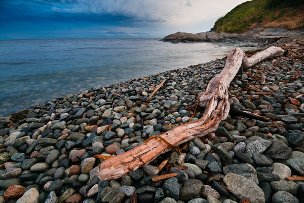 _dsc3067beachlog_web1