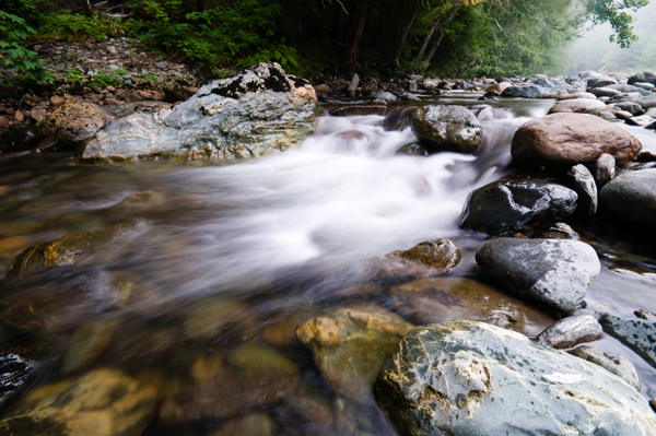 _dsc6455_web