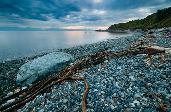 _dsc6607_web
