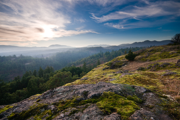 _DSC1409_web