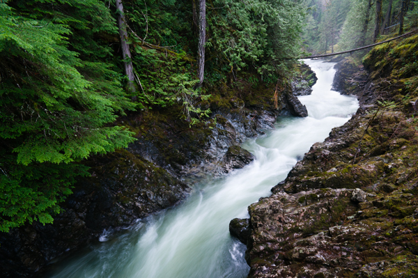 _DSC1561_web