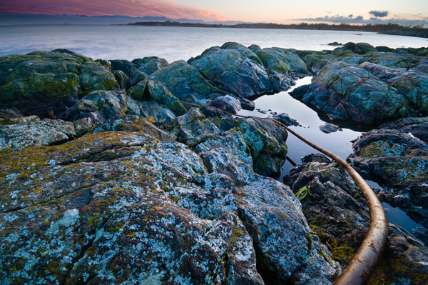 _DSC1951_web