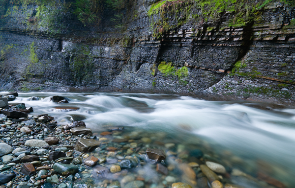 _DSC3447_crop_web