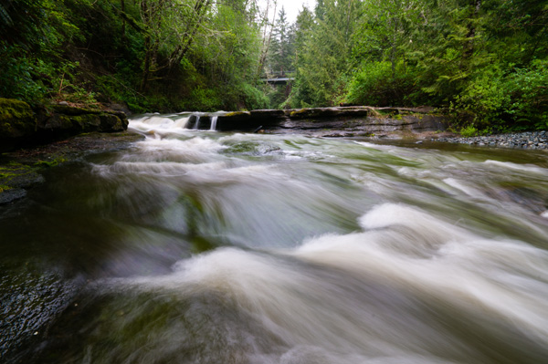 _DSC5974_web