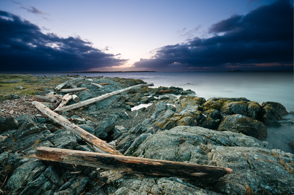 _DSC7963cattlePontsunrise2_web