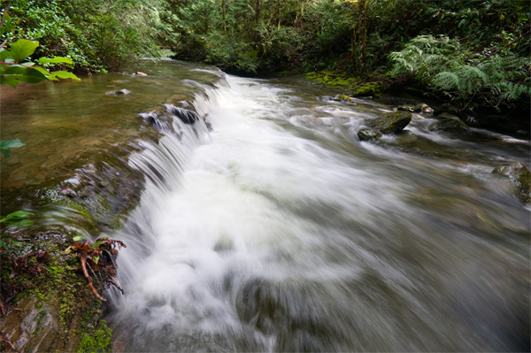 _DSC5207_web _DSC5207_web