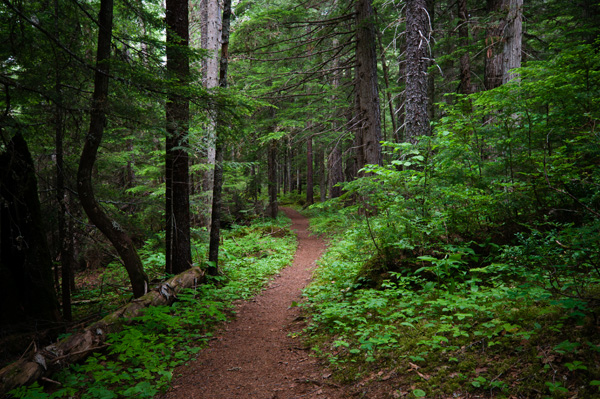 _DSC0444_web
