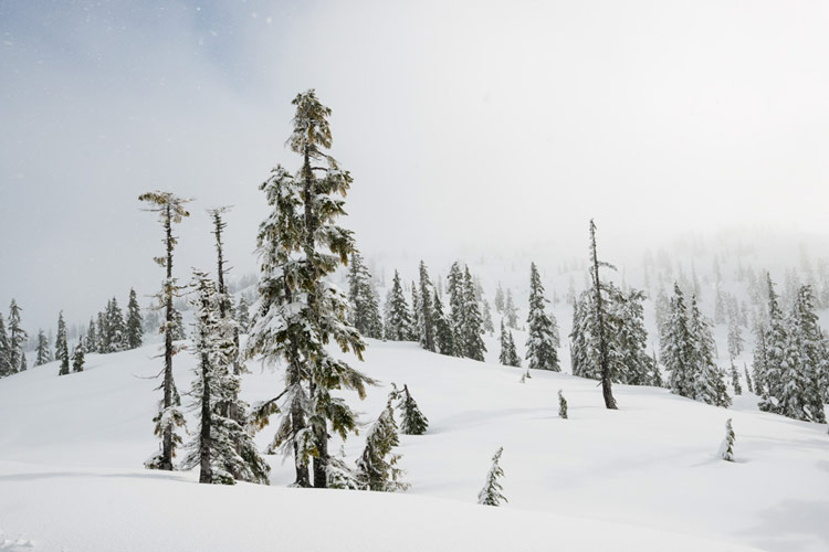 Snow falls near the summit of Mt. Becher