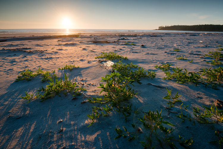 The sunsets on a beautiful evening at Nels Bight