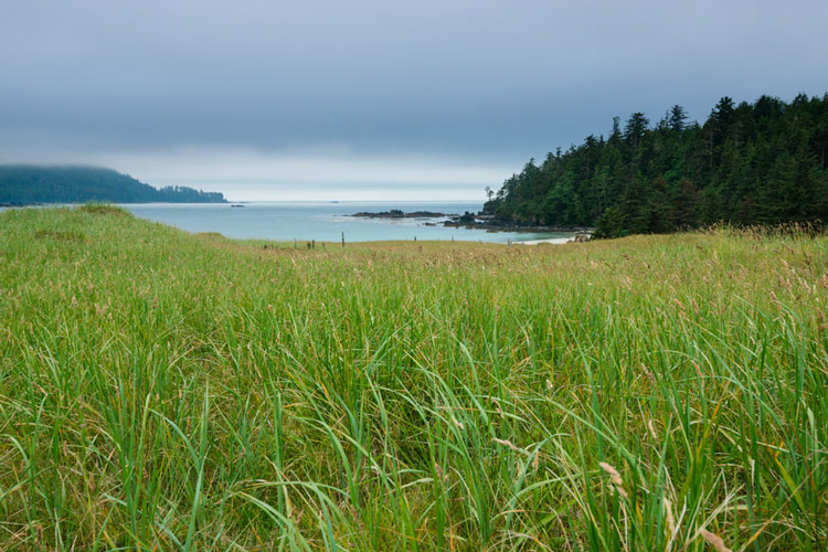 Looking over Guise Bay from the sand dunes between it and Experiment Bight