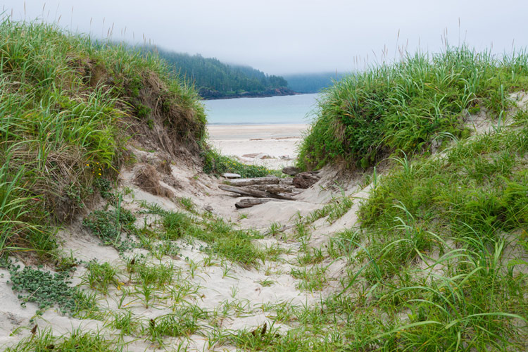 Looks out towards Guise Bay through a gap in the sand dunes between Guise Bay and Experiment Bight