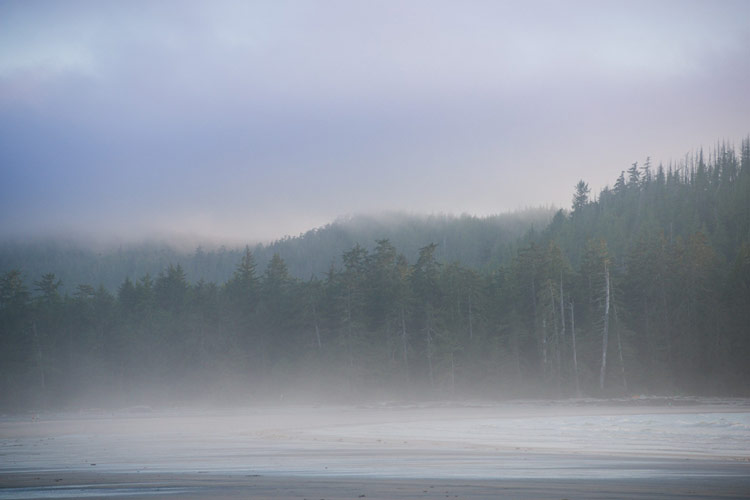 Fog and clouds shroud Nels Bight