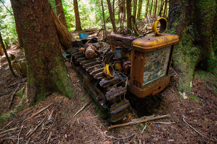 Old tractor at an old homestead site