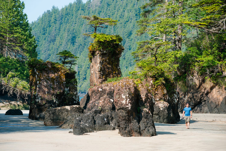 Sea stacks at San Josef Bay