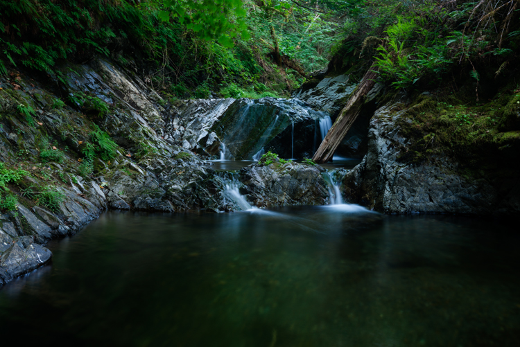 Bonnell falls